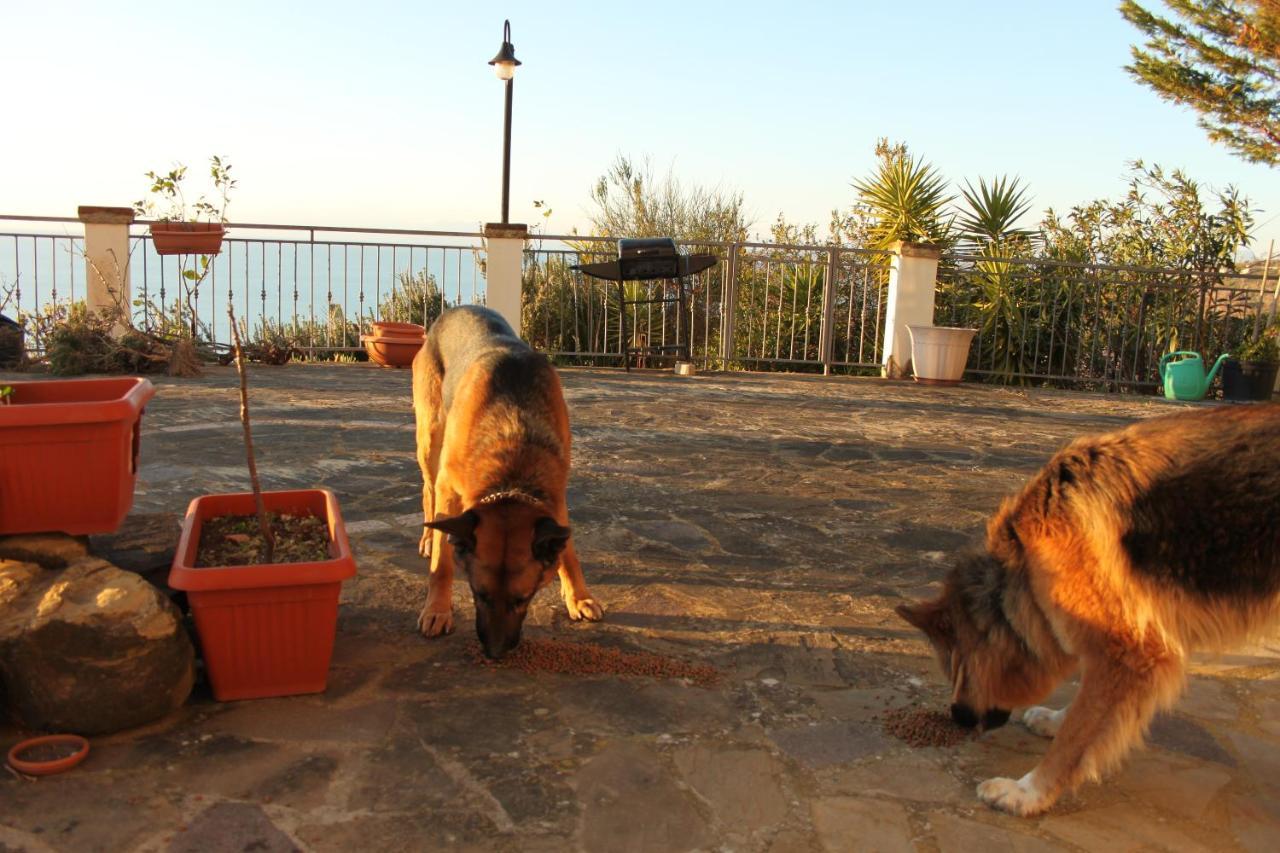Villa Malandrino Guest House Agropoli Buitenkant foto
