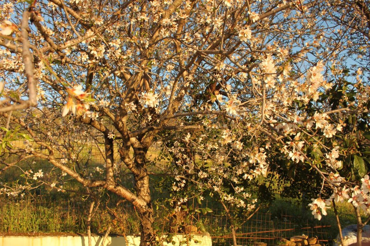 Villa Malandrino Guest House Agropoli Buitenkant foto